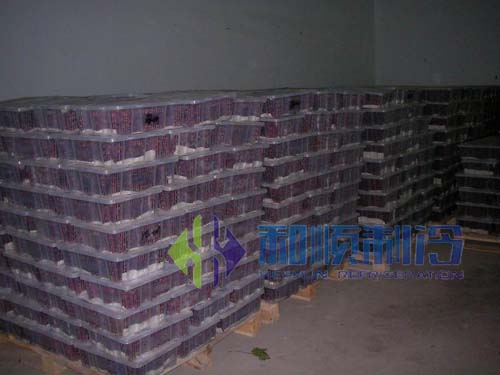 果蔬冷库 果蔬冷库